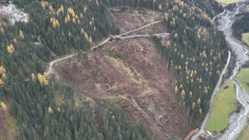 zweiter Forstgipfel: 36 Mio. Euro für Tirols Wälder