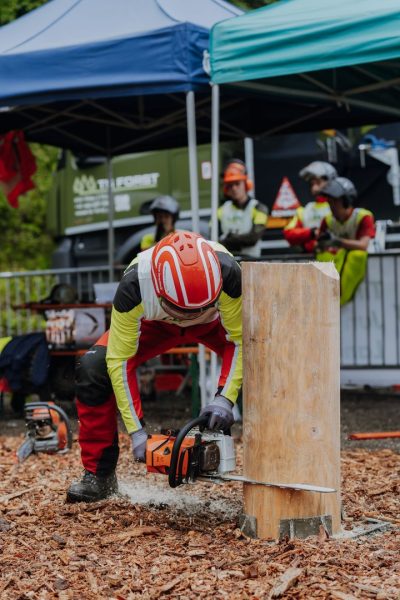 ljoe be forst 20250802 016 2sb09494  c sophienaglbalber
                                                