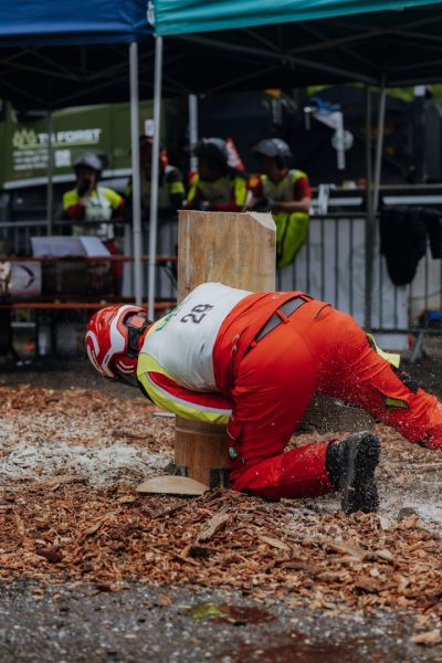 ljoe be forst 20250802 017 2sb09510  c sophienaglbalber
                                                