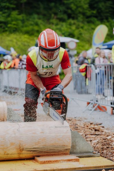 ljoe be forst 20250802 033 2sb09651  c sophienaglbalber-1
                                                