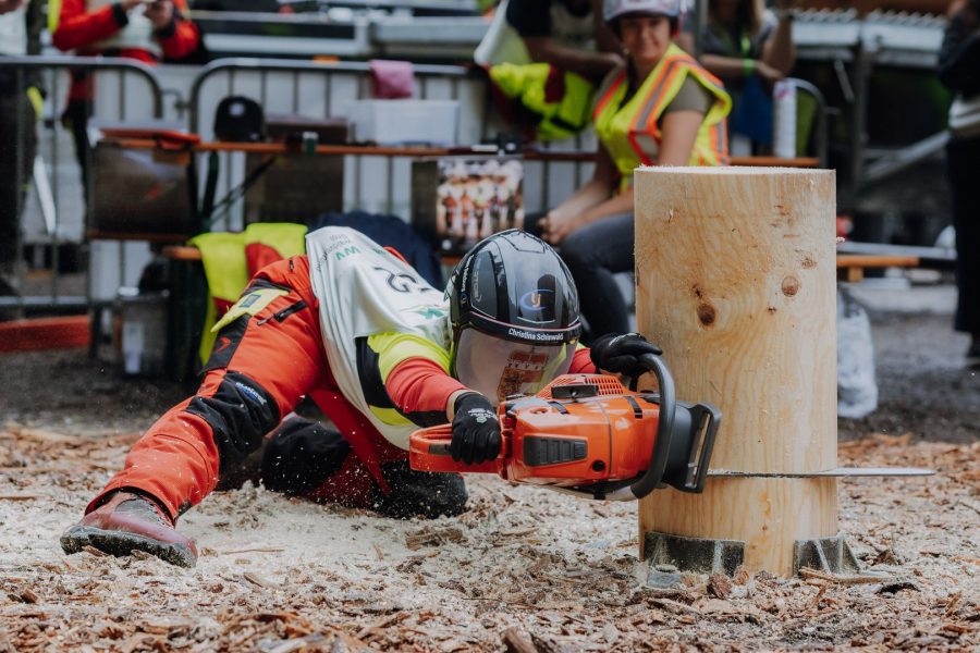 ljoe be forst 20250802 041 2sb09741  c sophienaglbalber
                                                