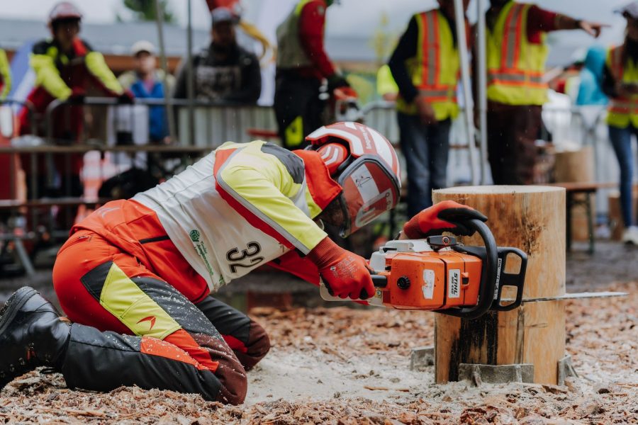 ljoe be forst 20250802 043 2sb09765  c sophienaglbalber
                                                