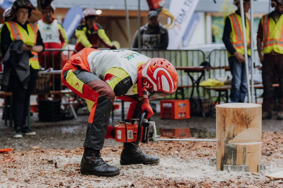 ljoe be forst 20250802 044 2sb09774  c sophienaglbalber
                                                