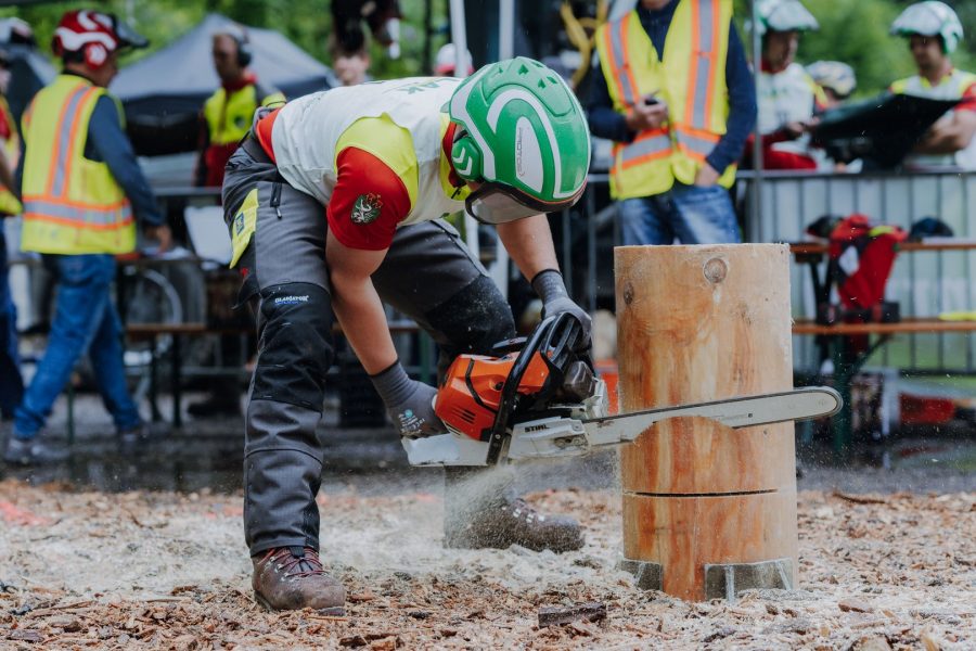 ljoe be forst 20250802 058 2sb09887  c sophienaglbalber
                                                