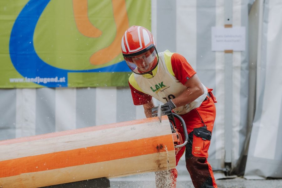 ljoe be forst 20250802 060 2sb09907  c sophienaglbalber
                                                