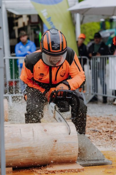 ljoe be forst 20250802 064 2sb09949  c sophienaglbalber
                                                