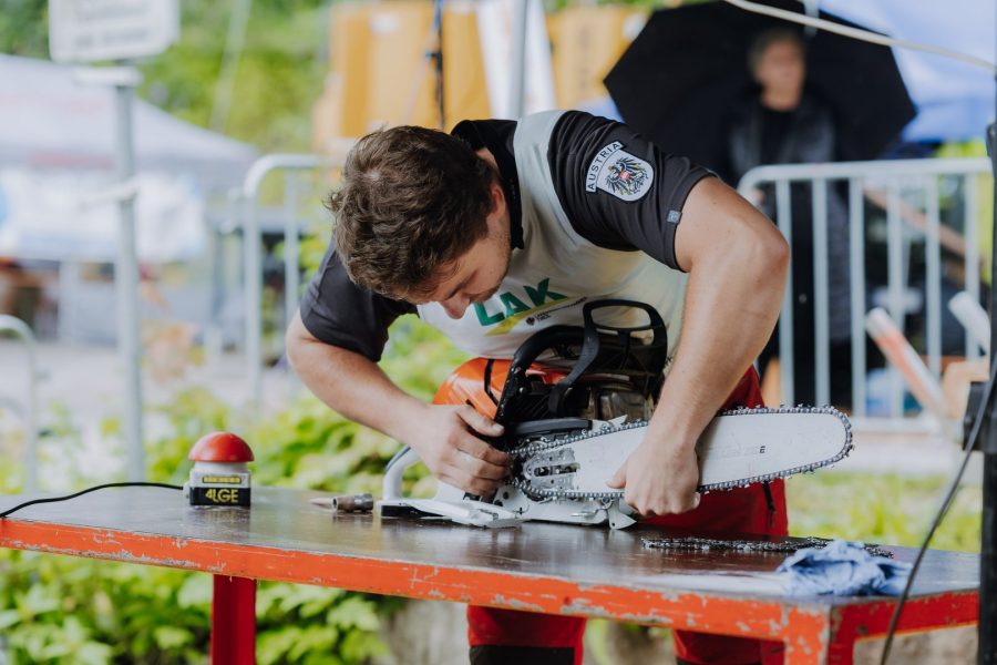 ljoe be forst 20250802 071 2sb00041  c sophienaglbalber
                                                