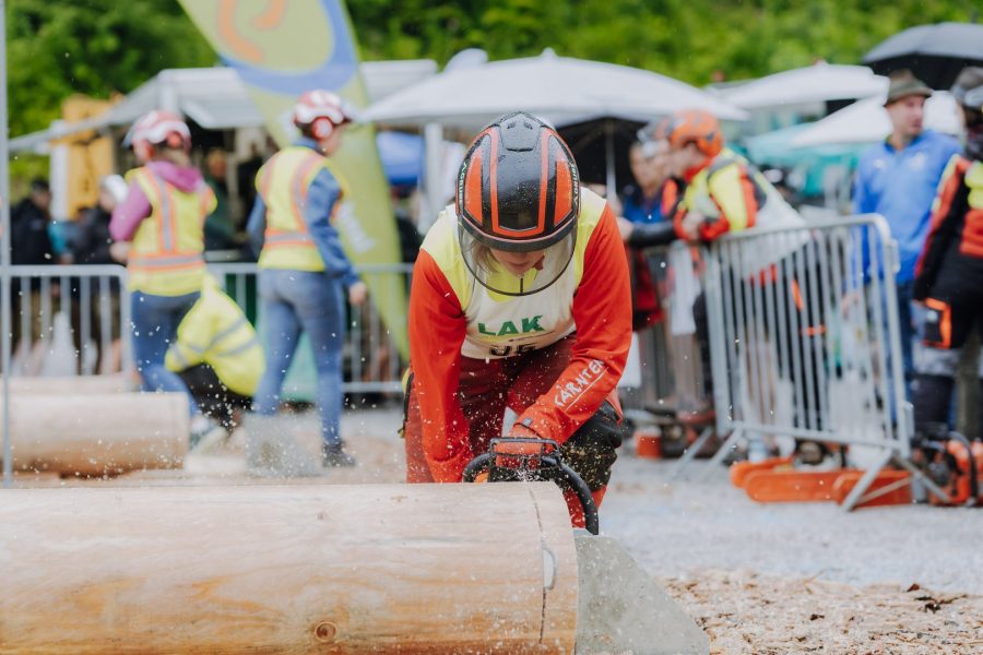 ljoe be forst 20250802 081 2sb00099  c sophienaglbalber
                                                