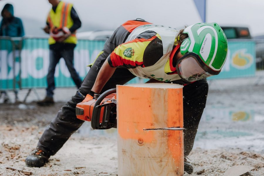 ljoe be forst 20250802 083 2sb00128  c sophienaglbalber
                                                