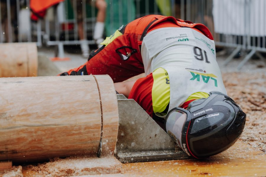 ljoe be forst 20250802 095 2sb00226  c sophienaglbalber
                                                