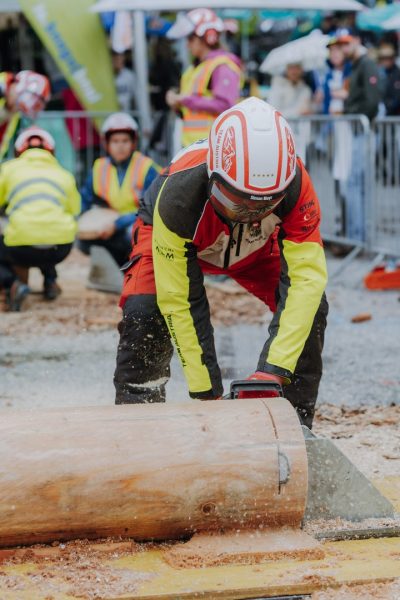 ljoe be forst 20250802 105 2sb00272  c sophienaglbalber
                                                