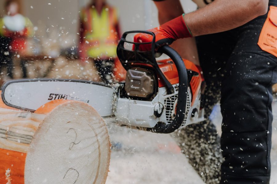 ljoe be forst 20250802 114 2sb00323  c sophienaglbalber
                                                