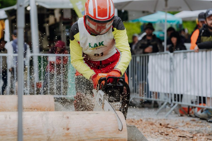 ljoe be forst 20250802 116 2sb00337  c sophienaglbalber
                                                