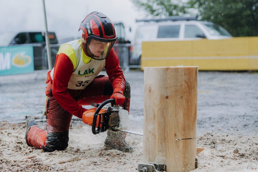 ljoe be forst 20250802 133 2sb00462  c sophienaglbalber
                                                