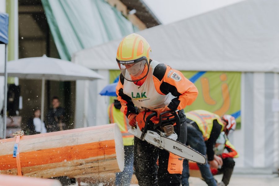 ljoe be forst 20250802 139 2sb00519  c sophienaglbalber
                                                