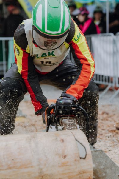 ljoe be forst 20250802 151 2sb00613  c sophienaglbalber
                                                