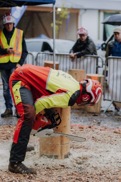 ljoe be forst 20250802 153 2sb00632  c sophienaglbalber
                                                