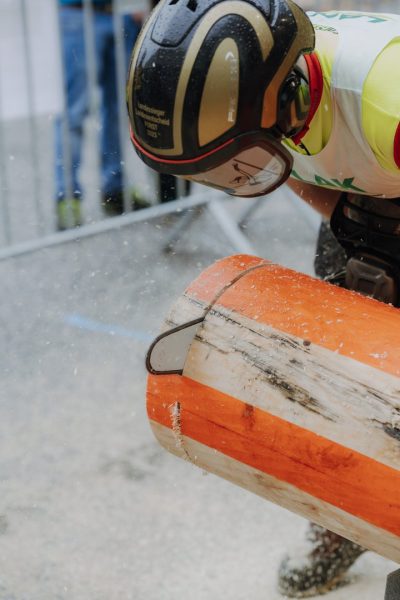 ljoe be forst 20250802 154 2sb00646  c sophienaglbalber
                                                