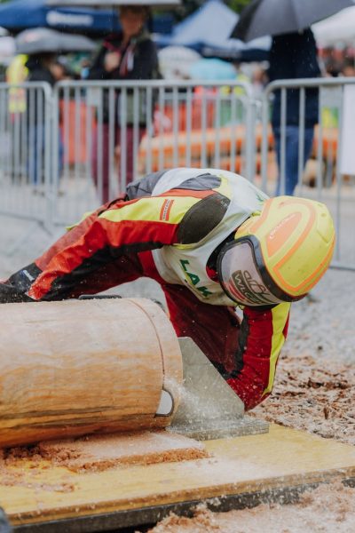 ljoe be forst 20250802 156 2sb00659  c sophienaglbalber
                                                