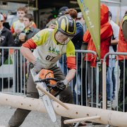 csm ljoe be forst 20250802 275 2sb01386  c sophienaglbalber 9860c47a57
                                                