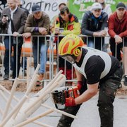 csm ljoe be forst 20250802 315 2sb01610  c sophienaglbalber 79333e962e
                                                