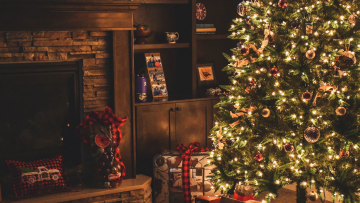 Deine Rechte zur Weihnachtszeit: Was Arbeiternehmer:innen in der Land- und Forstwirtschaft wissen müssen