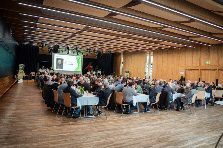 260413 allaweil-91-2
                                                